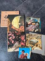 Prenten Artis - de wereld onder zee - vissen, Verzamelen, Ophalen of Verzenden