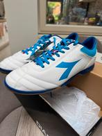 ZAALVOETBALSCHOENEN DIADORA maat 45.5 Nieuw in doos!!!, Sport en Fitness, Voetbal, Ophalen, Nieuw