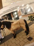 Shetlandpony, Dieren en Toebehoren, Merrie, Met stamboom