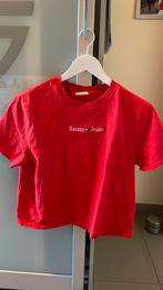 Tommy jeans T-shirt, Ophalen, Overige kleuren, Zo goed als nieuw, Korte mouw