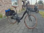 Ebike  Riese & Muller Swing Blue Label, Gebruikt, 51 tot 55 cm, 50 km per accu of meer, Ophalen