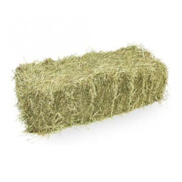 hooi beschikbaar voor biedingen