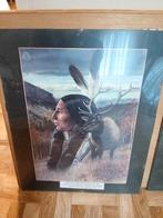 Kader indianen, Moins de 50 cm, Enlèvement, Utilisé, 50 à 75 cm