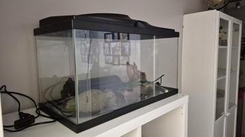 Aquarium 60liter + attributen, Enlèvement, Utilisé