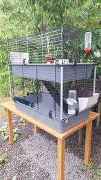 caviakooi2 verdiepingen + toebehoren, Dieren en Toebehoren, Ophalen, Kooi, Gebruikt, 90 cm of meer