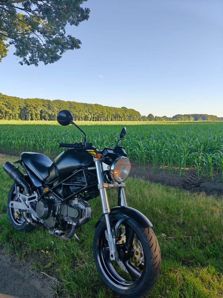 Ducati Monster 600 1999, Motoren, Motoren | Ducati, Particulier, 2 cilinders, Ophalen