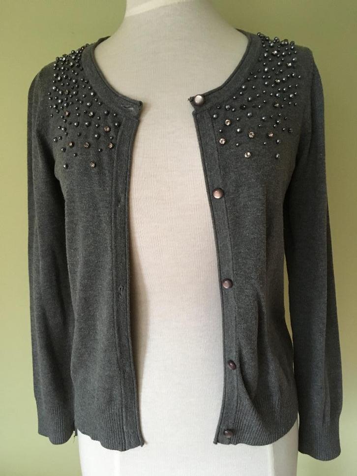 Cardigan met kralen, maat 36, Kleding | Dames, Truien en Vesten, Zo goed als nieuw, Maat 36 (S), Grijs, Ophalen of Verzenden