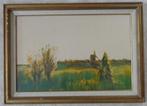 WALTER TEUNINK / POLDERLANDSCHAP / OLIEVERF / 61x85cm KADER, Ophalen