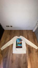 Koop, Ophalen, Beige, SuperDry, Maat 56/58 (XL)