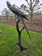Grote zware bronzen ara vogel is 1;35 m totaal een 1,60 m !!, Ophalen of Verzenden, Zo goed als nieuw, Overige materialen, Dierenbeeld