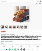 Piège à chien en parfait état, Enlèvement