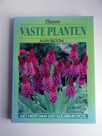 Vaste Planten. beschikbaar voor biedingen