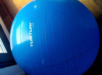 Tunturi Gymball 75 cm Blue Anti Burst beschikbaar voor biedingen