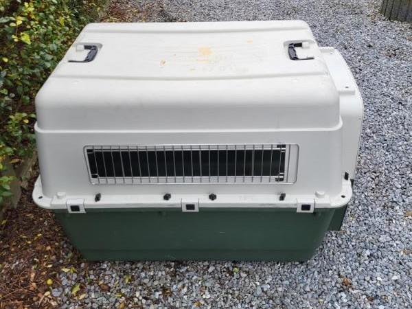 Transportbench- 100 x 67 x 75- conform IATA, Animaux & Accessoires, Caisses pour chiens, Utilisé, Enlèvement