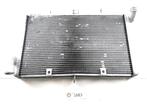 Radiator D1-37636, Motoren, Onderdelen | Merk-onafhankelijk