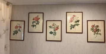 Set van 8 Rose monturen ontworpen door Redouté beschikbaar voor biedingen