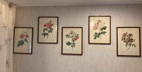 Set van 8 Rose monturen ontworpen door Redouté, Huis en Inrichting, Woonaccessoires | Lijsten, Gebruikt, Ophalen