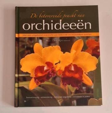 Nieuwe hardcover "De betoverende pracht van orchideeën" beschikbaar voor biedingen