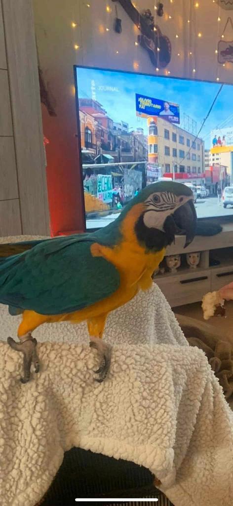 Autre, Diversen, Overige Diversen, Zo goed als nieuw, Ophalen of Verzenden