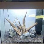 Hout aquarium, Ophalen, Zo goed als nieuw