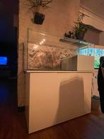 Schildpad Aquariem, Met kast, Dieren en Toebehoren, Ophalen, Zo goed als nieuw, Leeg aquarium
