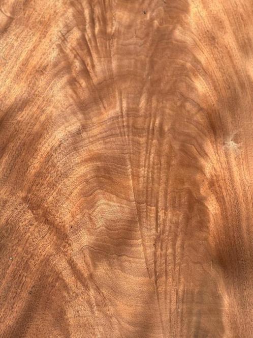 FINEER, Doe-het-zelf en Bouw, Hout en Planken, Nieuw, Plank, Overige houtsoorten, 250 tot 300 cm, Minder dan 25 mm, Ophalen