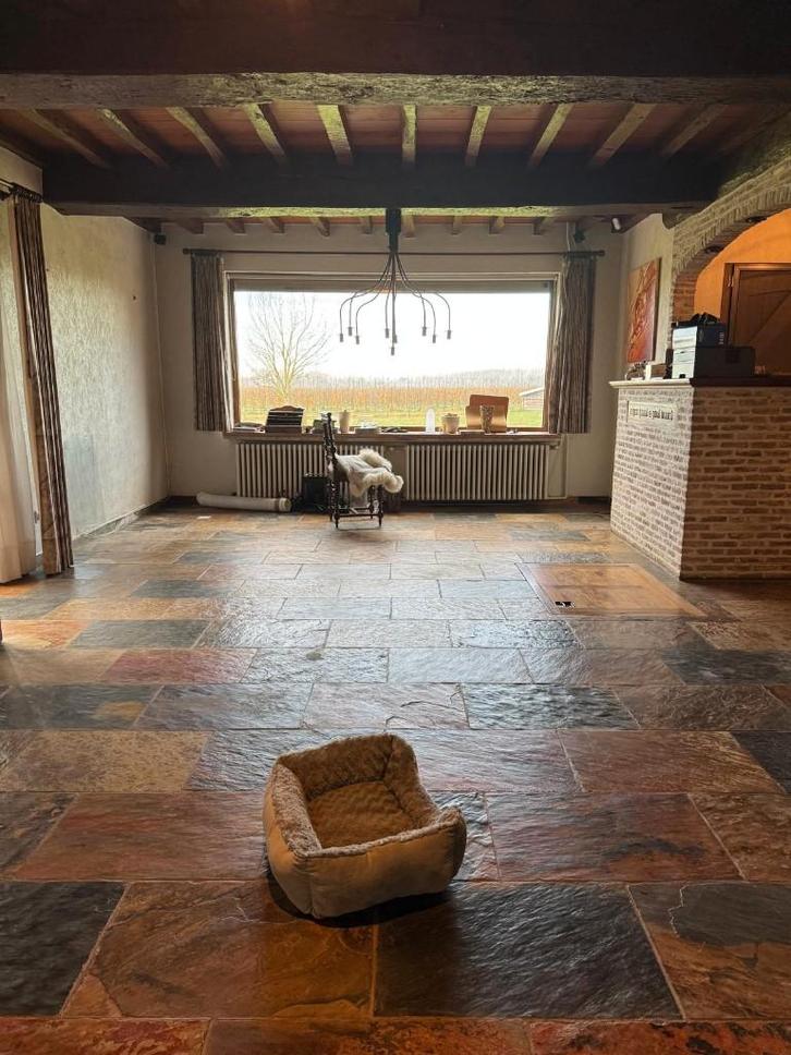 Carreaux en ardoise découpée - couleurs automnales - 60x30, Bricolage & Construction, Dalles & Carrelages, Utilisé, Carrelage de sol