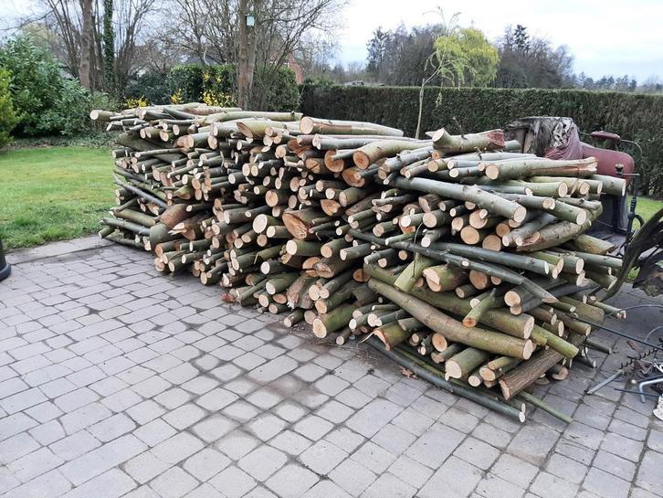 Brandhout (helft van de foto), Tuin en Terras, Brandhout, Takken, Ophalen