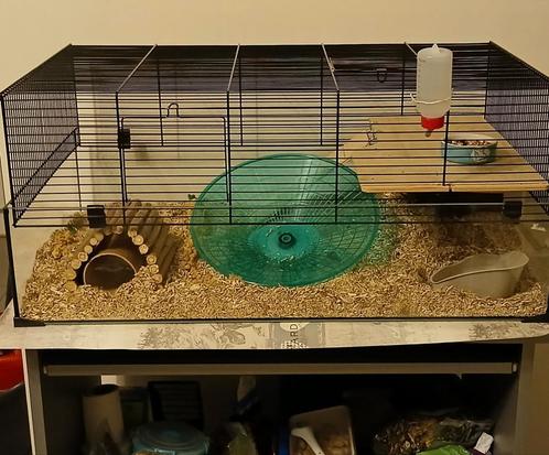 Interzoo vision 78, Dieren en Toebehoren, Knaagdieren en Konijnen | Hokken en Kooien, Zo goed als nieuw, Kooi, Minder dan 60 cm