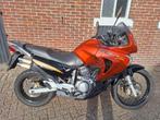 Honda Transalp xl650v model rd11 ruilen/inruil mogelijk, 2 cilinders, Particulier, Meer dan 35 kW, Enduro