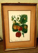 3 oude aquarellen..... zie foto's, Ophalen