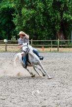 pony, Dieren en Toebehoren, Paarden, Merrie, Minder dan 160 cm, Zadelmak, Recreatiepaard
