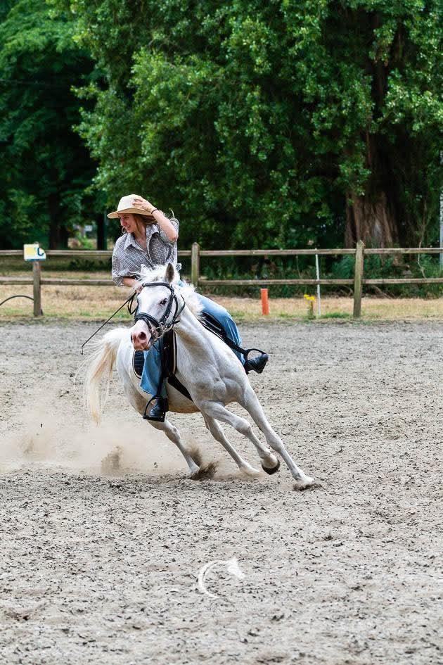 pony, Dieren en Toebehoren, Paarden, Merrie, Zadelmak, Minder dan 160 cm, 7 tot 10 jaar, Recreatiepaard, Gechipt, Ontwormd