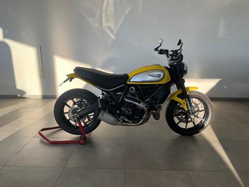 Ducati Scrambler 800, Motoren, Motoren | Ducati, Bedrijf, Naked bike, meer dan 35 kW, 2 cilinders, Ophalen