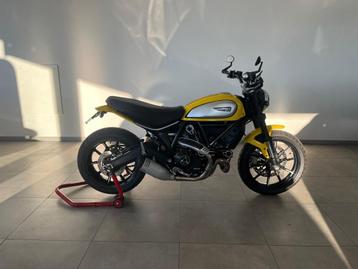 Ducati Scrambler 800 