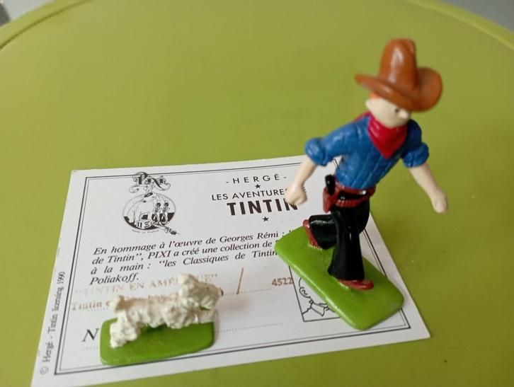 Pixi Tintin Snowy America tube certificaat, Verzamelen, Beelden en Beeldjes, Gebruikt, Overige typen, Verzenden