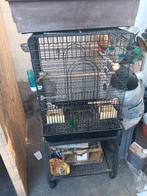 Cages, Enlèvement, Comme neuf