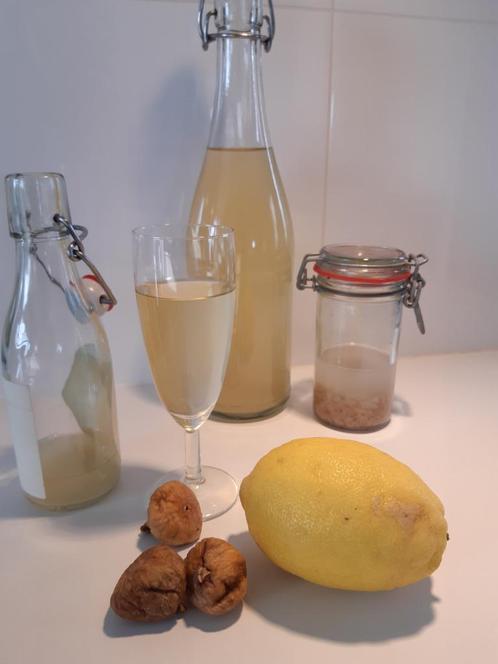 kefir de fruits kefir d'eau, Diversen, Levensmiddelen, Ophalen