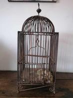 Prachtige zeer oude ijzeren vogelkooi, Antiek en Kunst, Ophalen of Verzenden