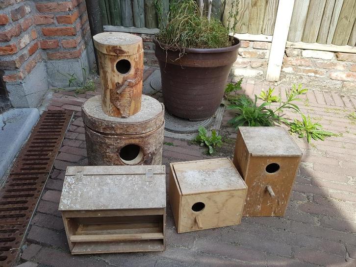 Set nestkasten parkieten + voederbak, Dieren en Toebehoren, Vogels | Hokken en Kooien, Gebruikt, Overige typen, Hout, Ophalen