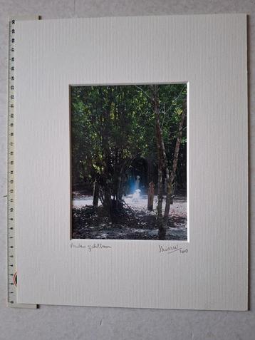 Kunsfoto getiteld "Anders zichtbaar" uit 2010 onleesbaar  beschikbaar voor biedingen