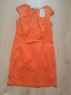 Melvin maat 44 . Nieuw kleedje, Vêtements | Femmes, Robes, Enlèvement ou Envoi, Neuf, Taille 42/44 (L), Orange