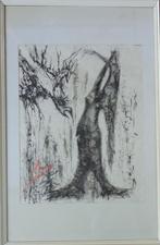 JAN VAERTEN / CONTRASTEN / ORIGINEEL WERK / 103x67cm / KADER, Ophalen