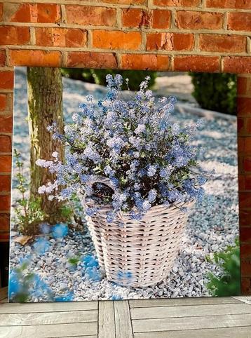 Groot canvas „Lavender Flowers” beschikbaar voor biedingen