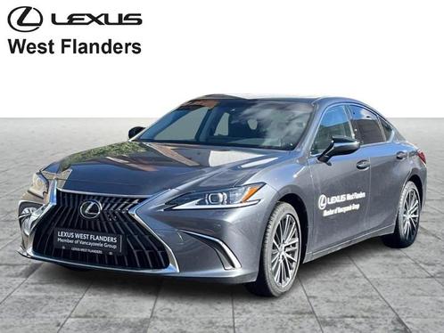 Lexus ES 300h Explore Line +Pano+Sensors, Auto's, Lexus, ES, Adaptieve lichten, Airbags, Airconditioning, Alarm, Bluetooth, Boordcomputer