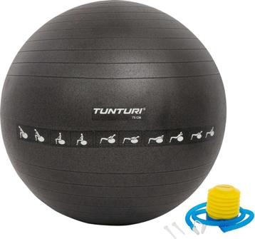 Tunturi Wellness ball 