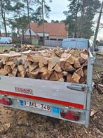 Te koop brandhout eik twee cup bijna droog  200 €, Tuin en Terras, Brandhout, Ophalen of Verzenden