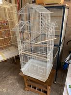 Grote vogel kooi, Enlèvement ou Envoi, Comme neuf