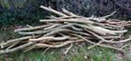 GRATIS HOUT, Tuin en Terras, Brandhout, Ophalen, Overige houtsoorten, Takken