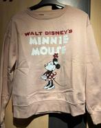 Minnie mouse trui, Kleding | Dames, Primark, Ophalen of Verzenden, Zo goed als nieuw, Roze